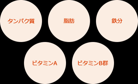 タンパク質、脂肪、鉄分、ビタミンA、ビタミンB郡