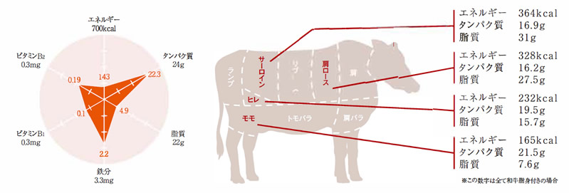 牛肉は理想的な栄養バランス