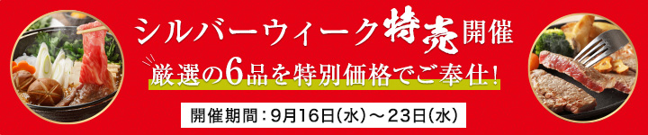 シルバーウィーク特売のバナー画像