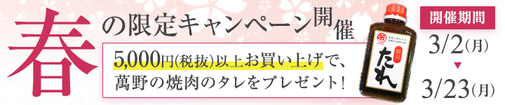 春の限定キャンペーンのバナー画像